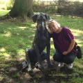 Estatua popular de great danes del bronce del arte de la venta caliente del metal